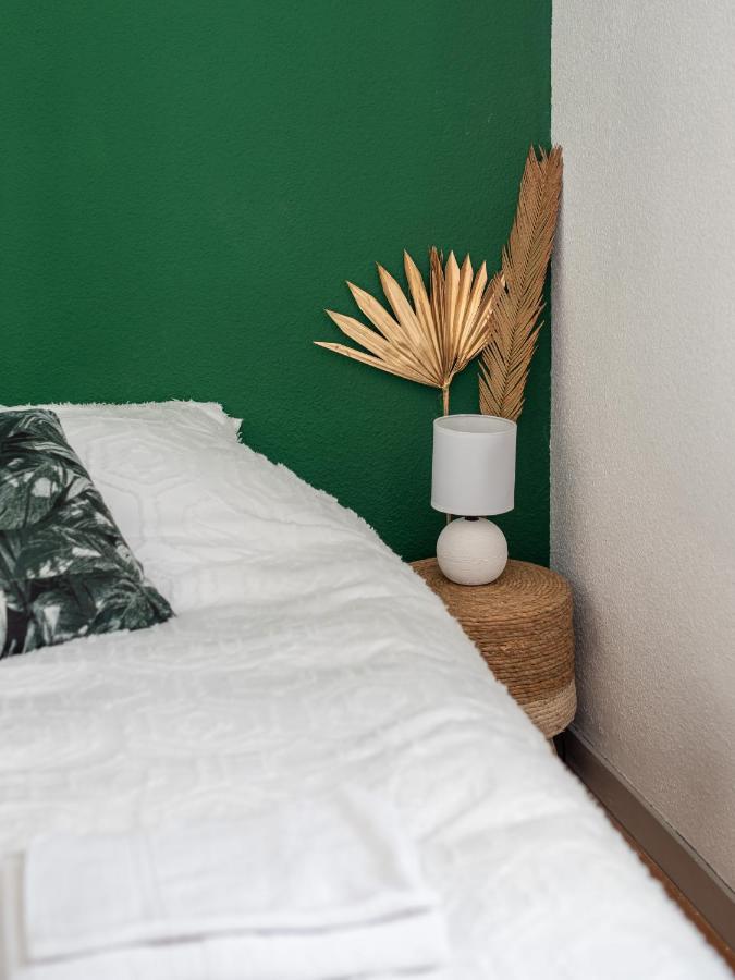 Bel Appartement Renove Гренобъл Екстериор снимка
